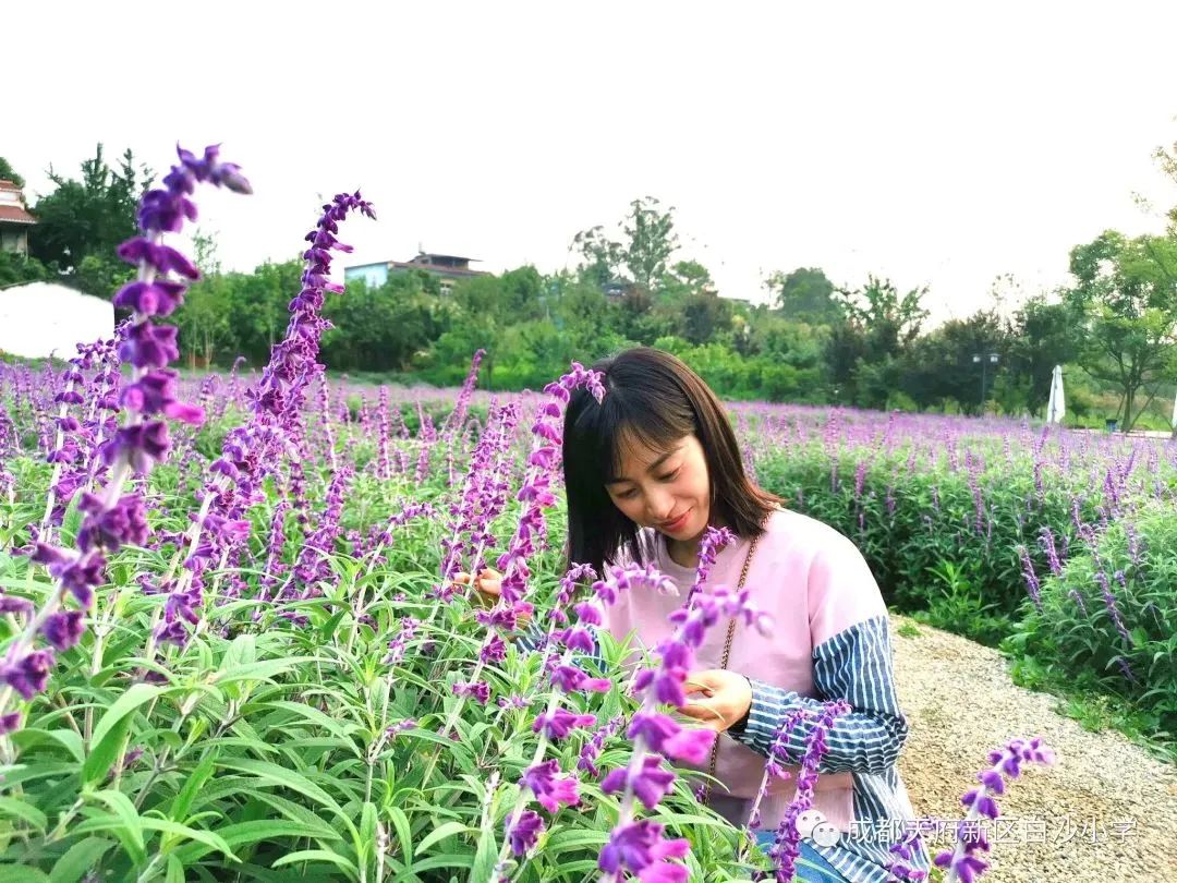 麓溪河畔 墨韵白小｜四川天府新区白沙小学名优教师风采展示（一）