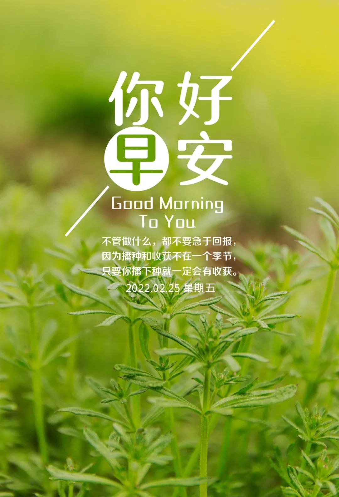早安图文签名句子,正能能句子,开启元气满满的一天