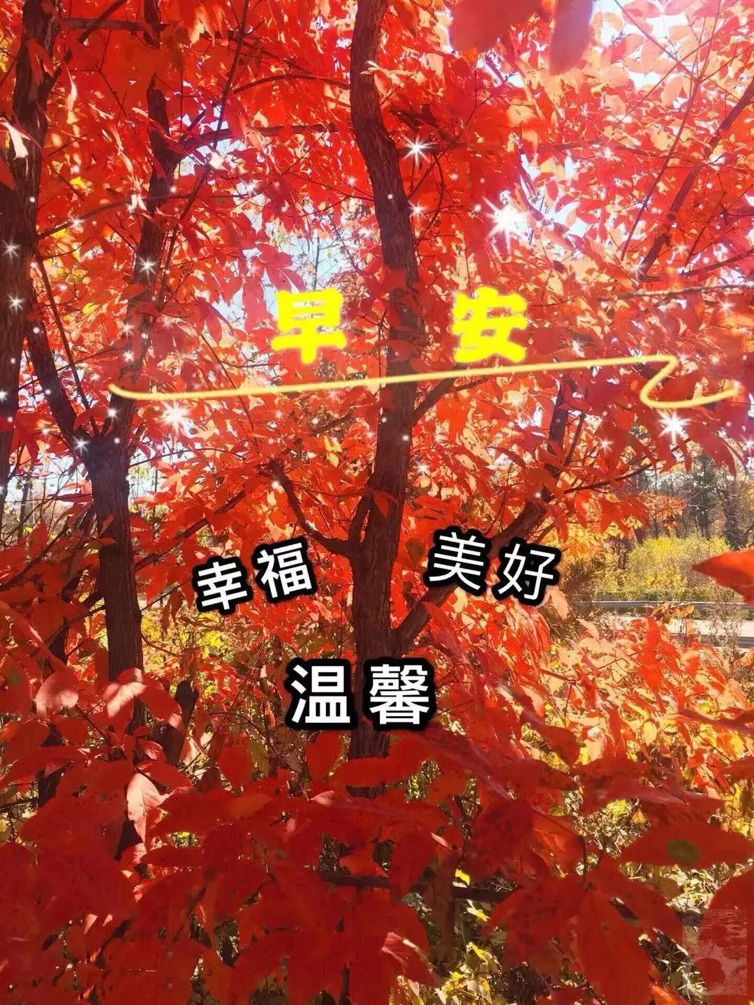 周末特别漂亮的早上好问候语图片带字 愿快乐与你朝夕相处图片
