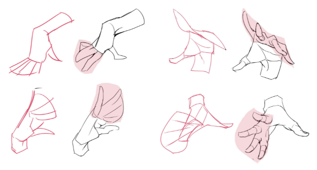 绘画初学者如何正确画手？教你基础的手部手势绘制思路