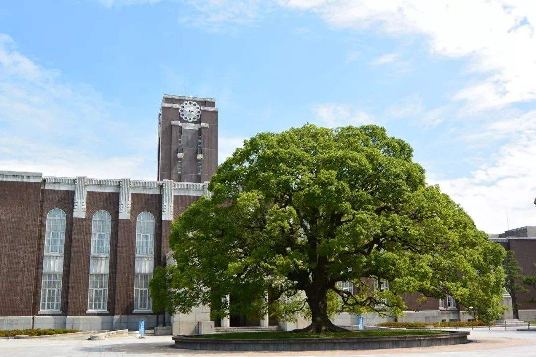 日本神户国际大学图片