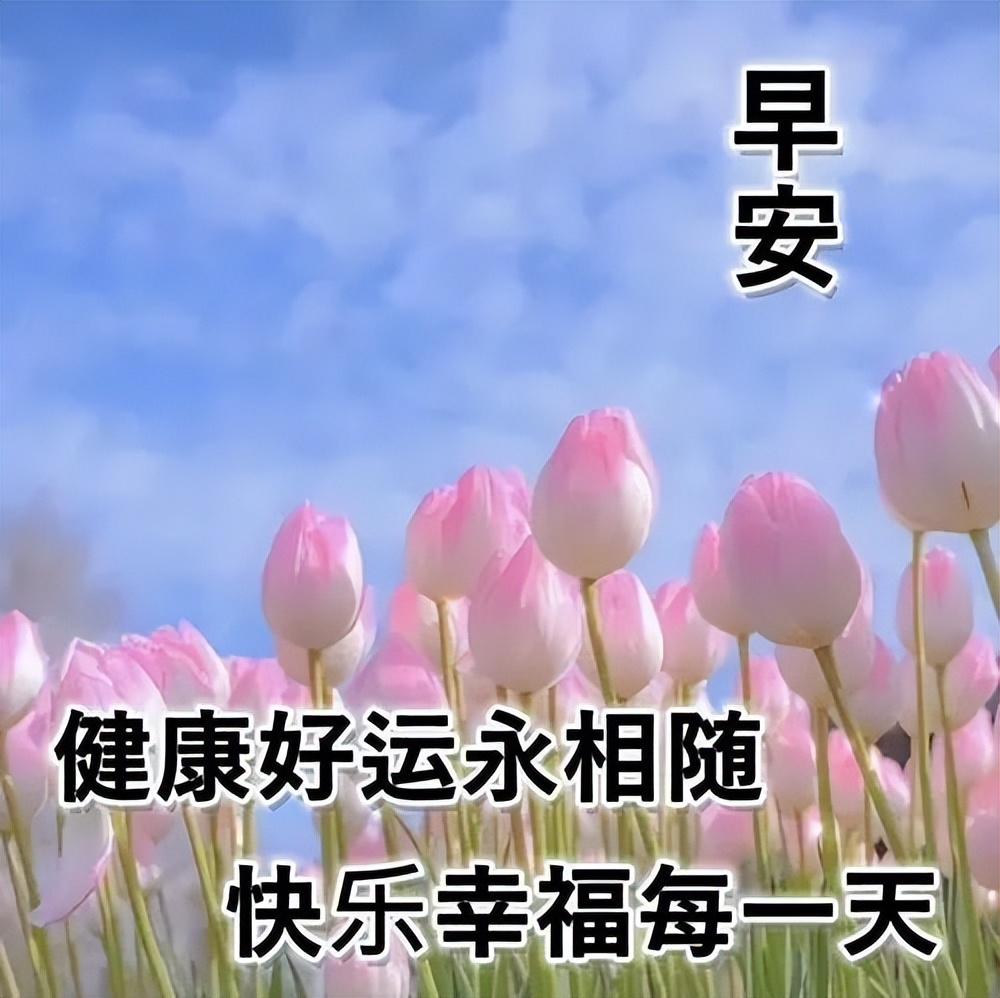 暖人心的早上好问候语 最美早上好祝福语图片 把握当下，珍惜拥有图片