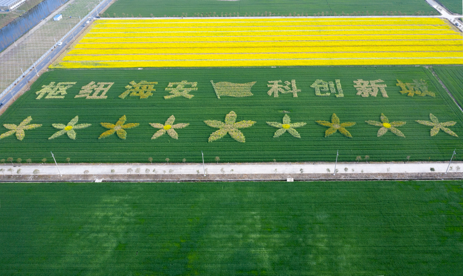 风醉雨醉我也醉，醉在花海不思归