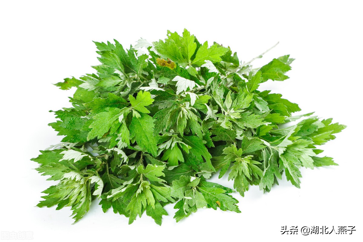 55种野菜大图片，带你见识不同的野菜和吃法，你想要的野菜这里有