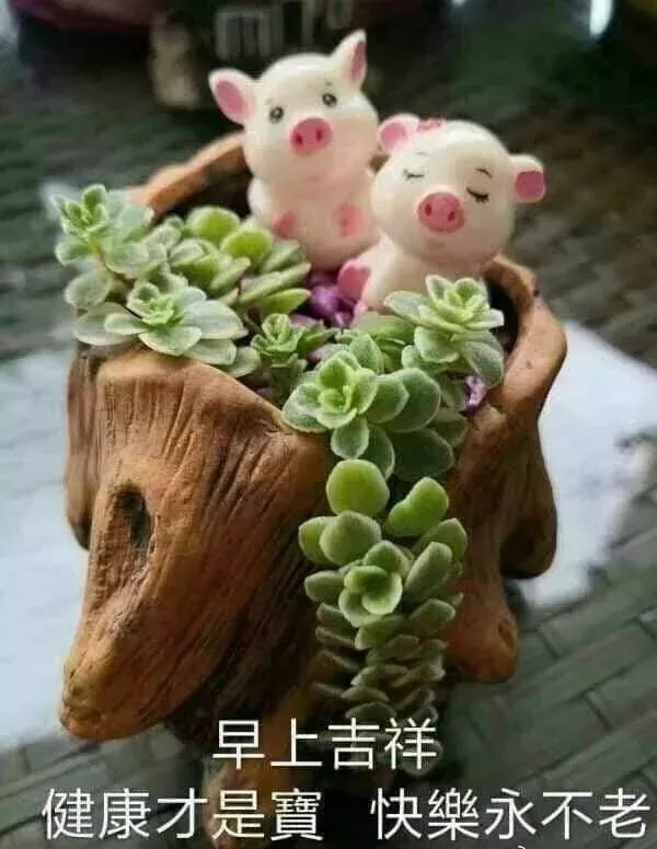 送给朋友早上好的吉祥祝福语 早安，幸福属于你，快乐倾向你图片