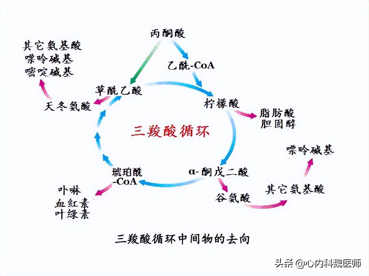 几块钱一瓶的维生素B2，却是高血压的“克星”？您知道吗