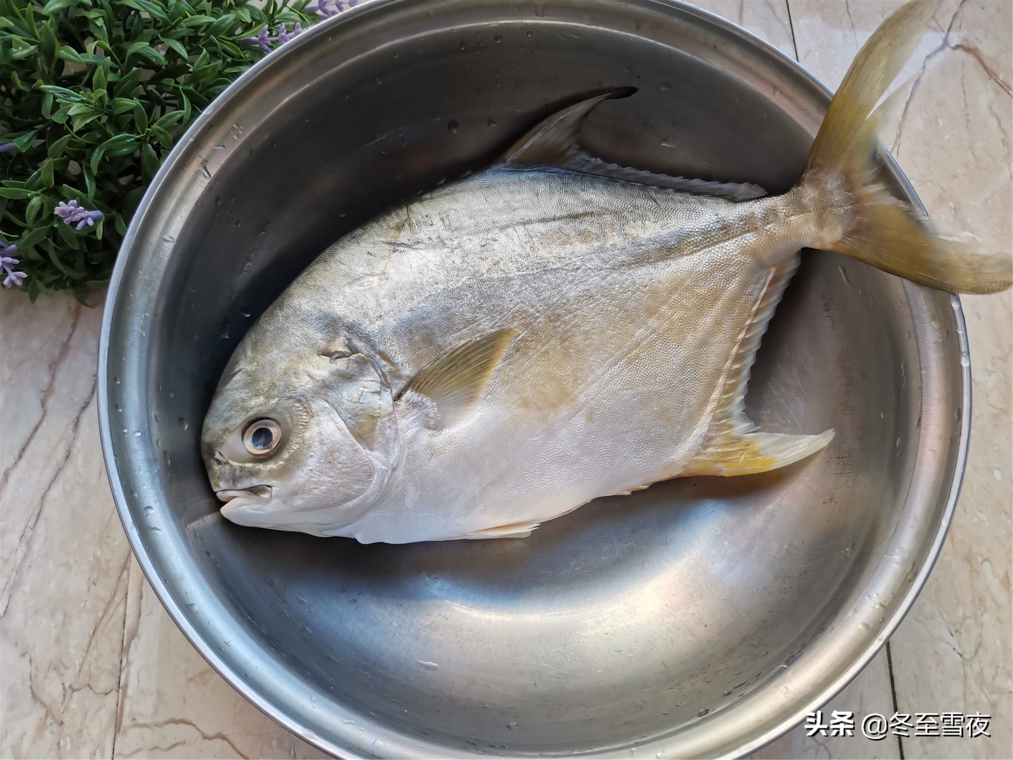 紅燒平魚,紅燒平魚的家常做法