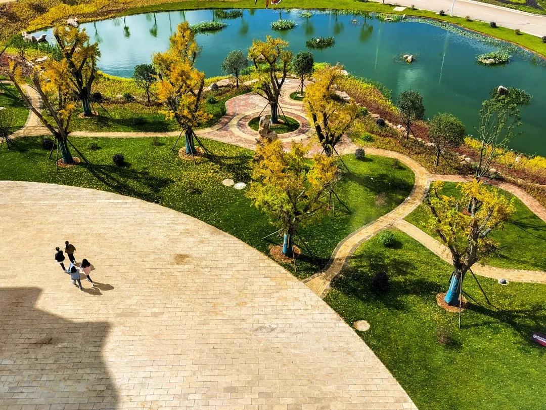 云南经贸外事职业学院获“春城杯”一等奖