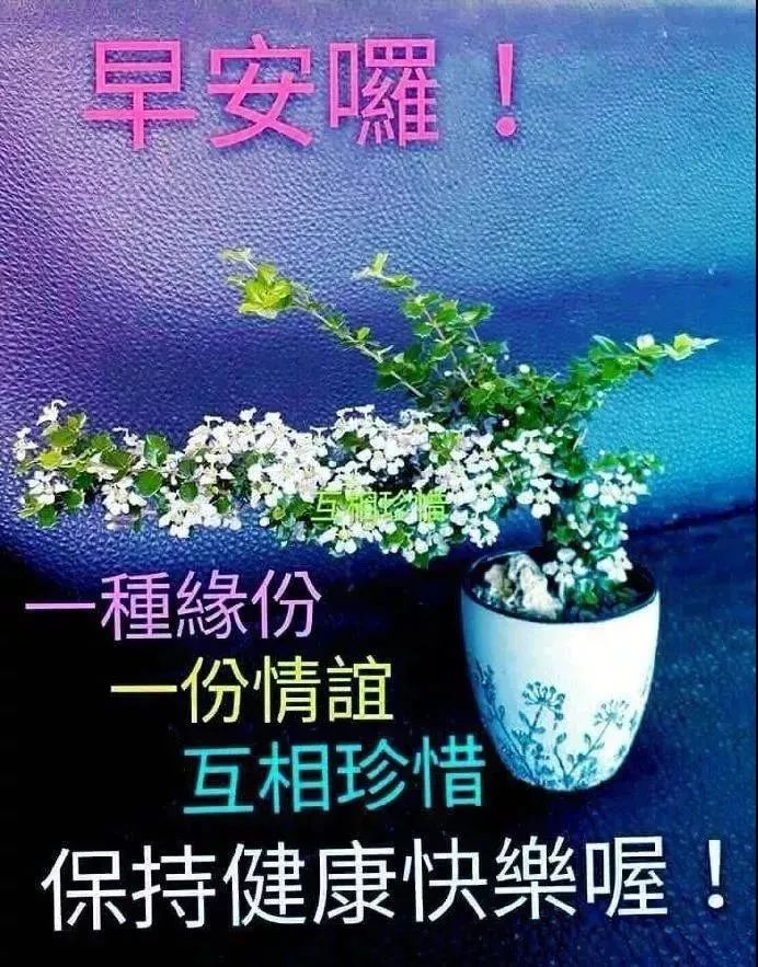 周五微信早上好祝福语 温馨的早上好动态图片 友谊是一世难求的缘分图片