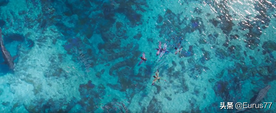 阿凡达2：水之道12月16日美国上映