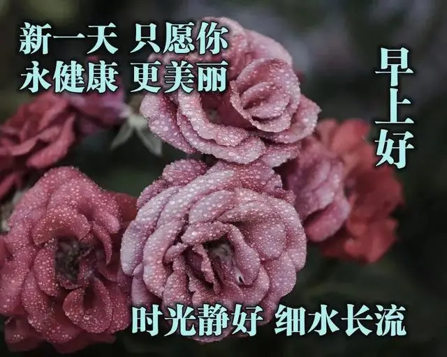 早晨问安：缘份是久久长长的相聚，朋友是生生世世的牵挂，早上好