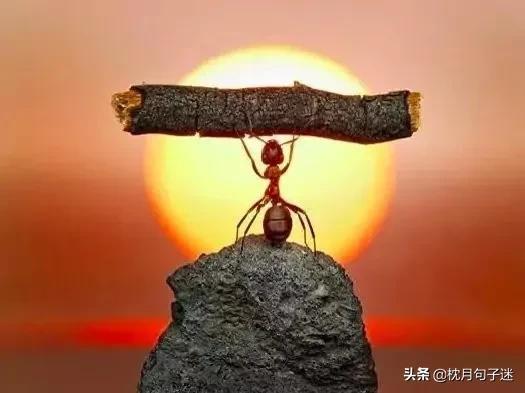 句子库‖一些可爱到爆的沙雕文案
