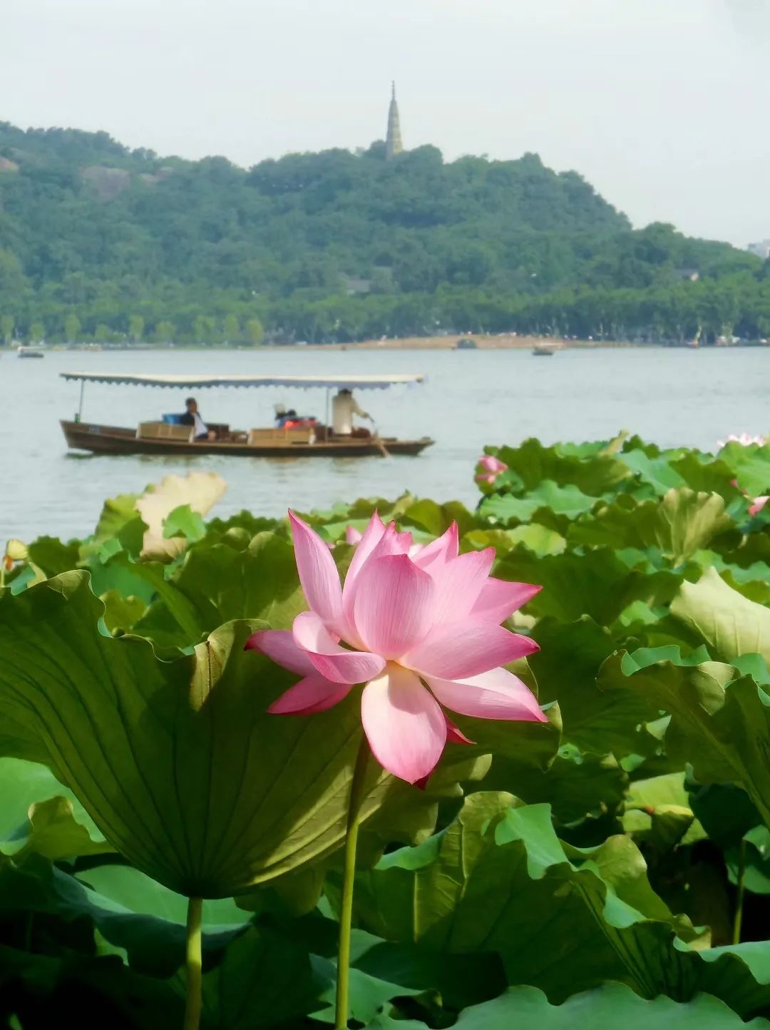 浙大快乐老师“许萌萌”！