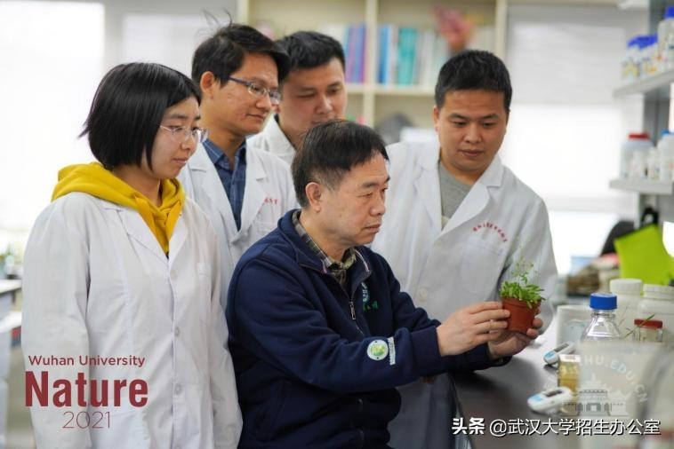 省委省政府批准！湖北这位教授入选重磅名单，人社厅副厅长颁奖！全省仅10人