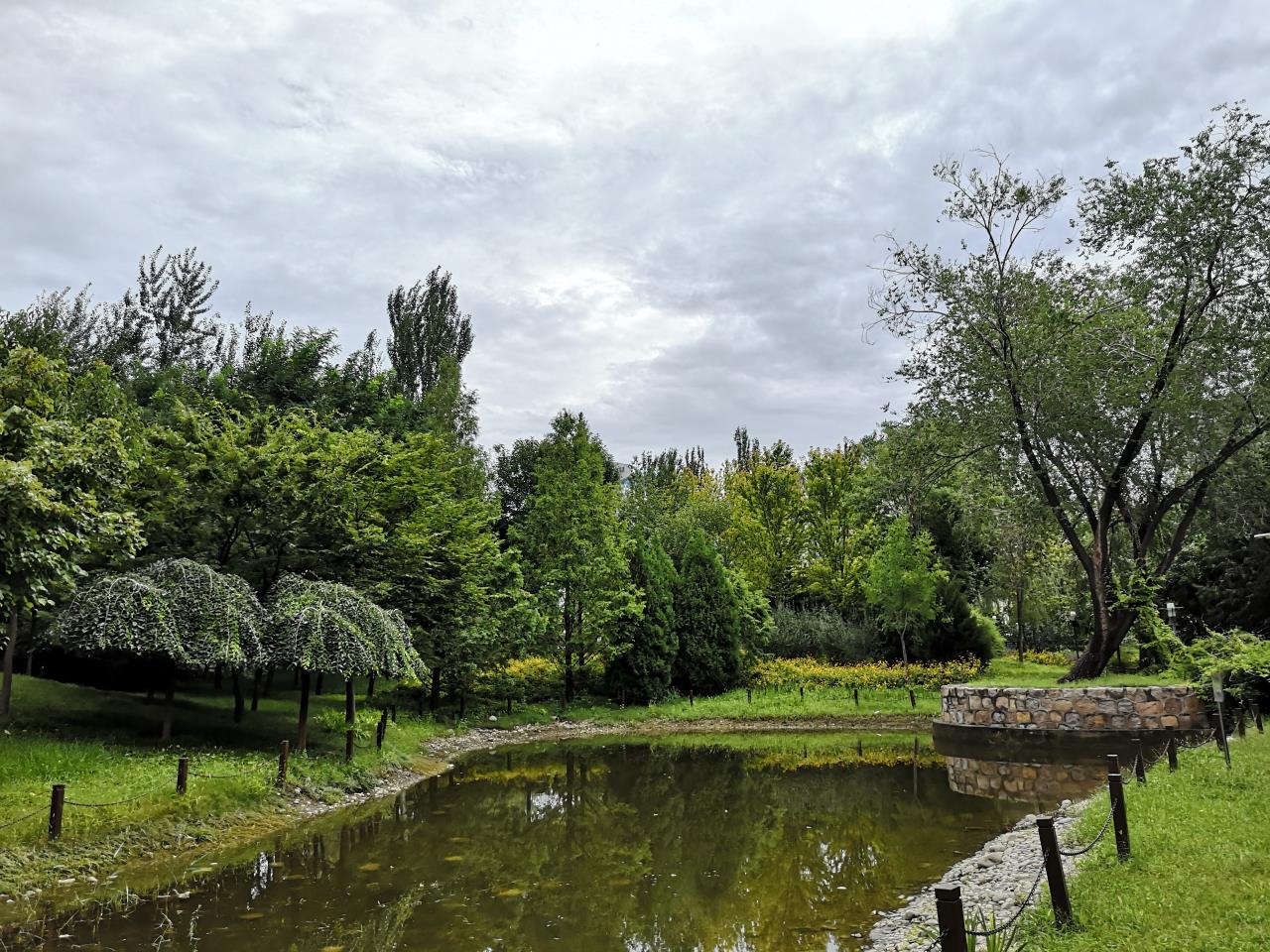 北极寺公园 四环边隐匿的微型植物园