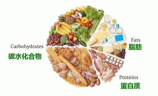 这次就教会你，你一天应该摄入多少食物