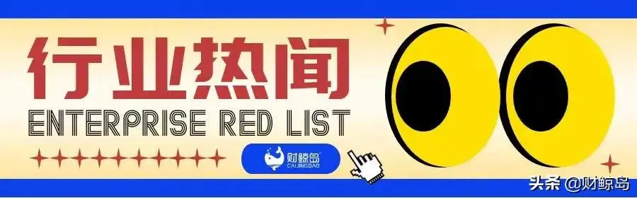 新经济周刊第十二期