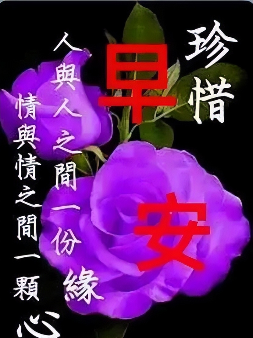 微信早上好说说 清晨走心的早上好问候 健康是人生最大的财富图片
