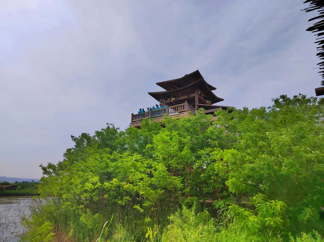 看這里,！夏日在洽川濕地的N種打開方式