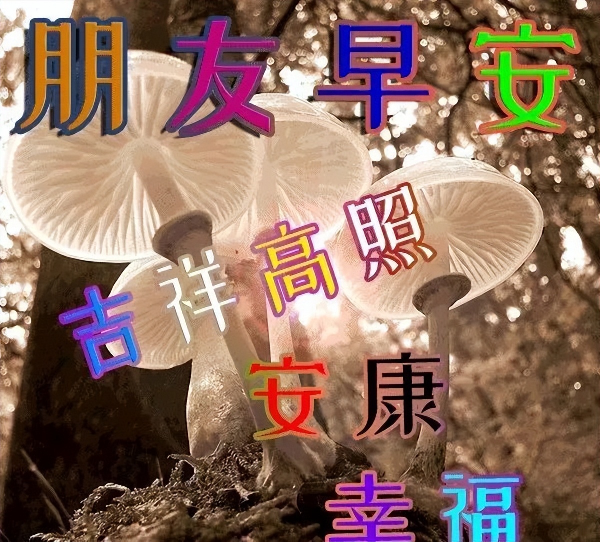早上好，真心朋友，祝你早安开心、下午舒心、晚上欢心图片