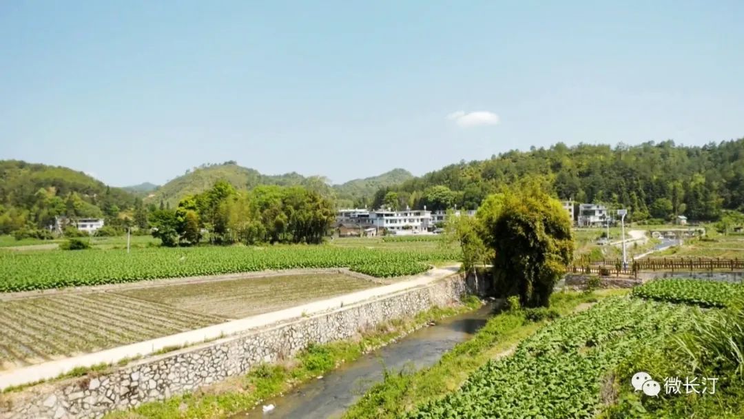 长汀县河田红中村 乡村振兴气象新 长汀新闻网 长汀在线 长汀新闻中心