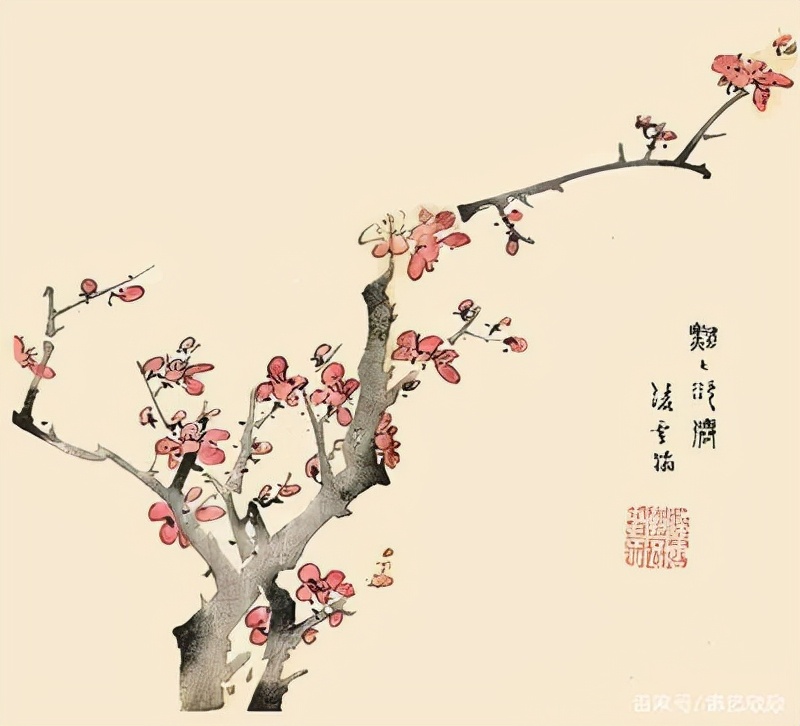《你好，中国花语》繁花知语意，岁月留情长