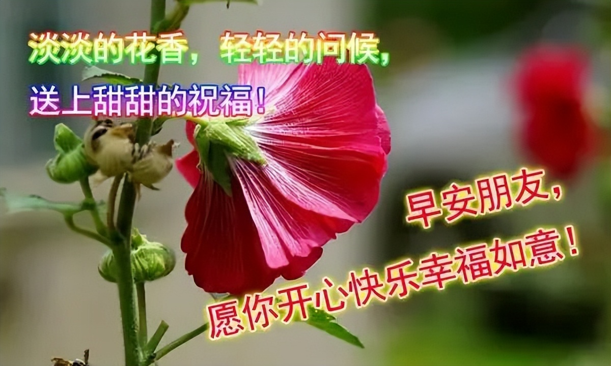 周五清晨早上好暖人心的祝福短信，祝福朋友事事顺心、事事美丽图片