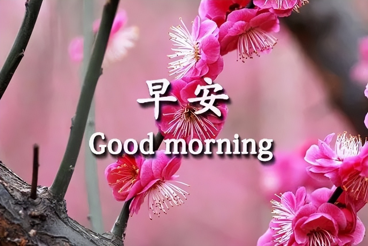 朋友圈星期四早上好问候语句子 微笑征服一切图片