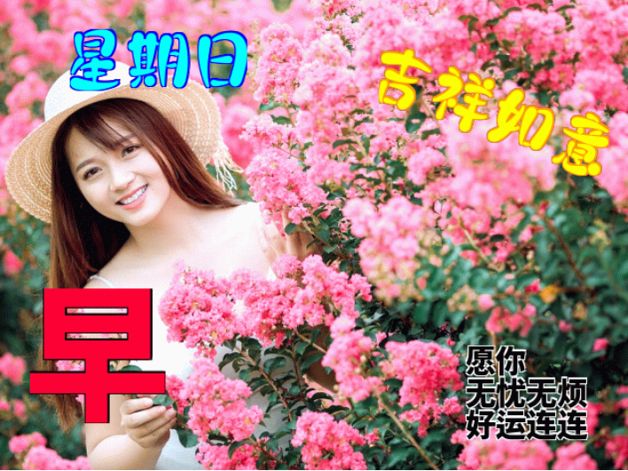 清晨美女问候早上好漂亮早上好表情包祝福语 愿君开心快乐 健康平安图片