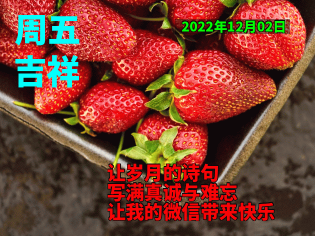 一声早上好，愿友开心整天、幸福每一天，一声祝福、一生朋友图片