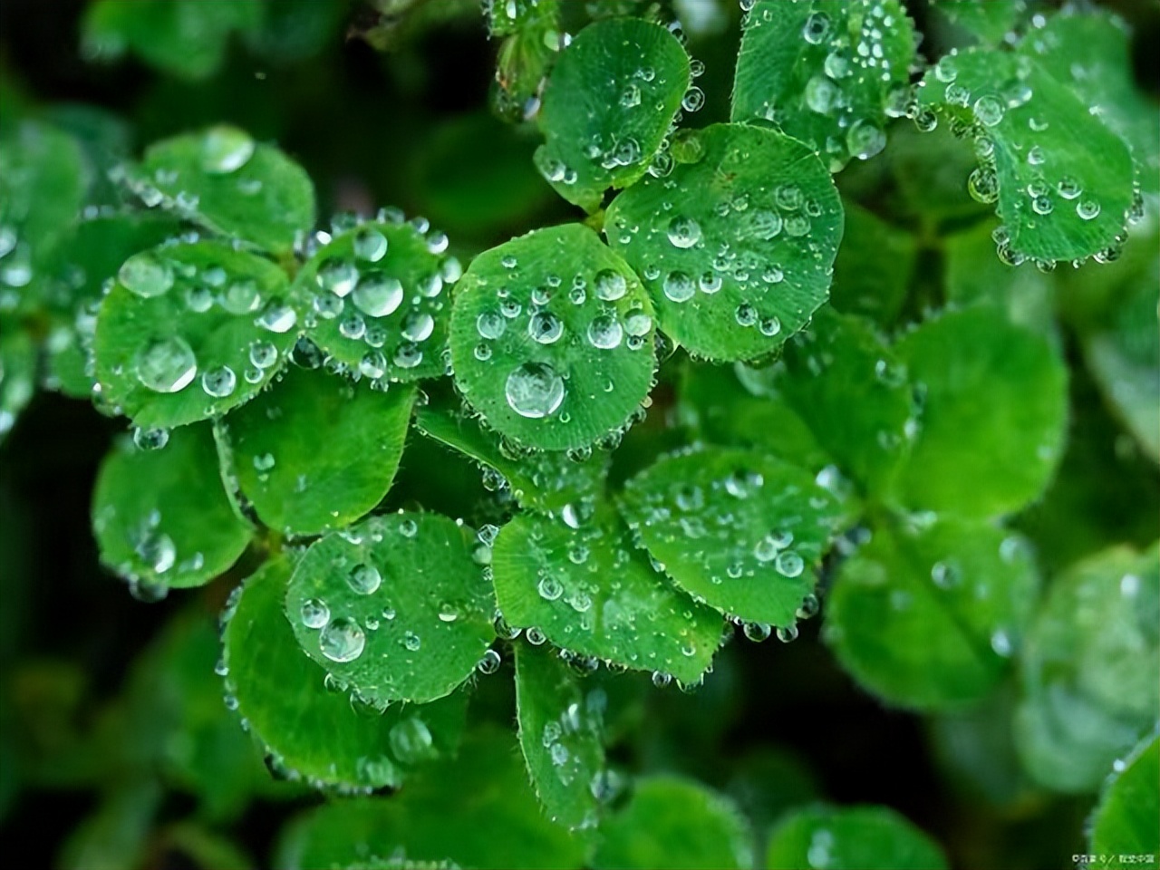 下雨天让人心情不好的句子，看到的人都会哭