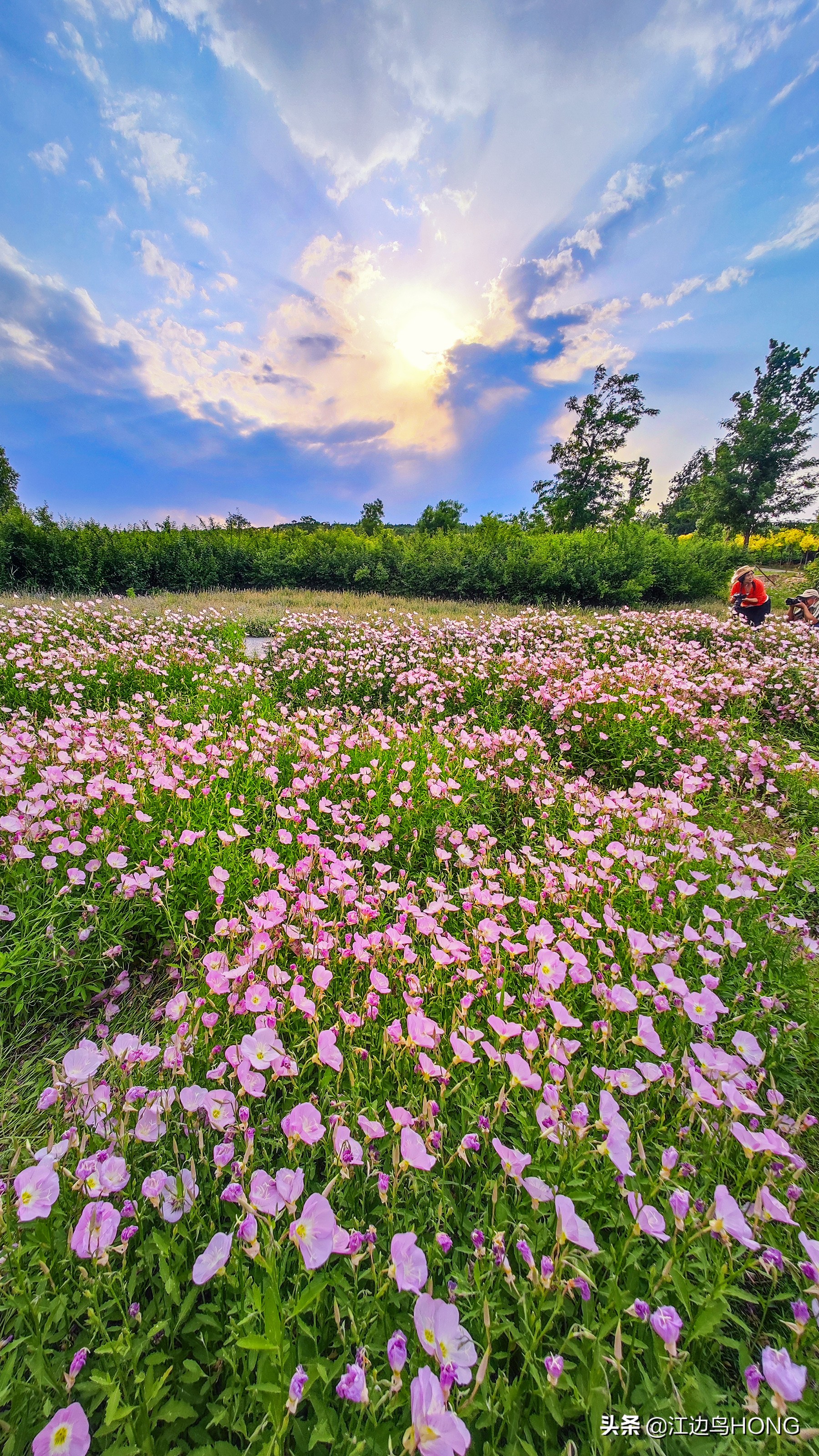 小米11 Ultra超广角的震撼（大片多图）