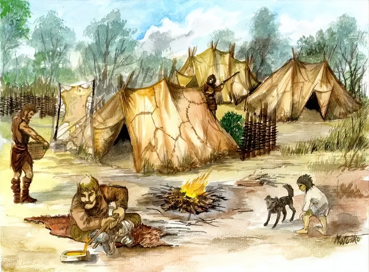 同人类共演化，揭开人类褪毛、穿衣之谜的虱子，为何很少看到了？