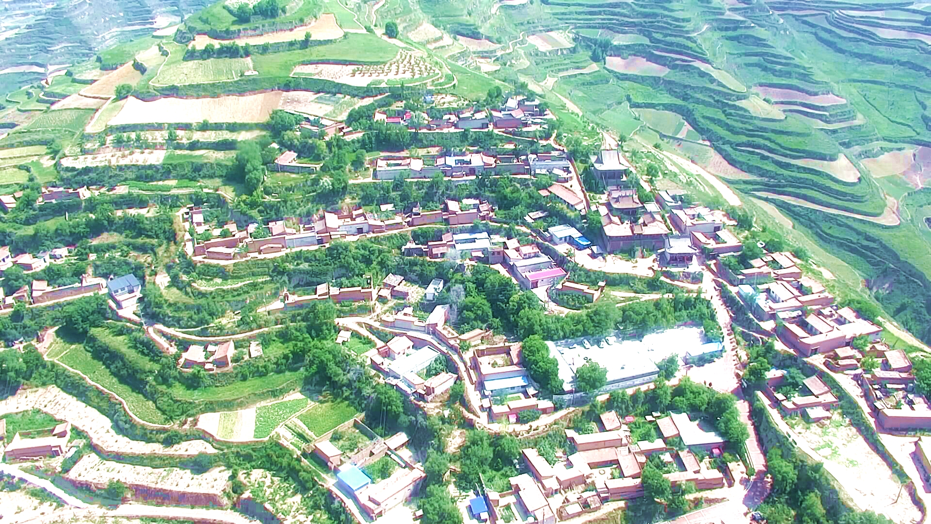 强化党建引领 助力乡村振兴