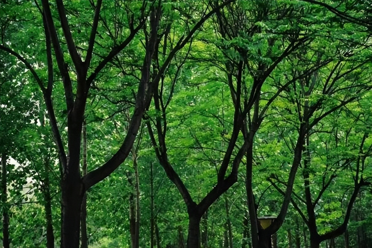 省委宣传部共建！西北大学这个学院实力