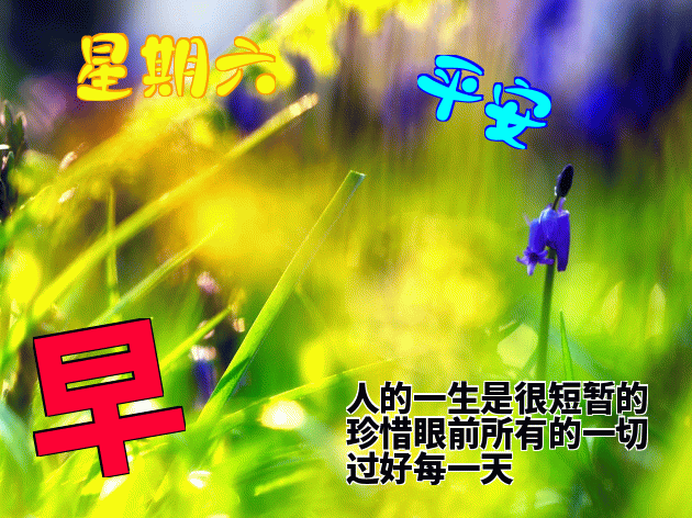 微信群早上好问候语动态表情包，愿你爱人永相伴、笑容永不变图片