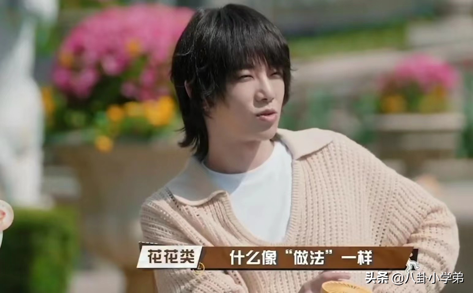 这5位明星好敢说！杨颖回应假吃，宋丹丹：杨紫张一山绝对好不了