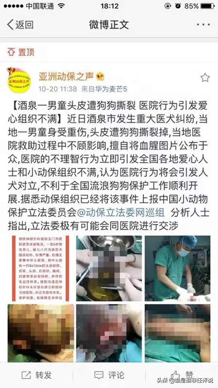 无恶不作的动物保护组织：巨额财富争夺与情报组织渗透