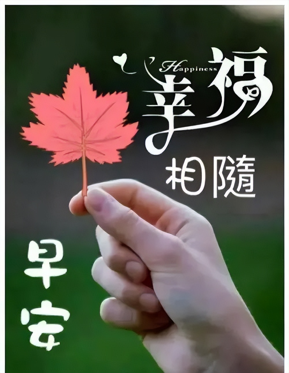 2022最新创意唯美春天鲜花早安问候动画表情 祝福好友幸福快乐图片
