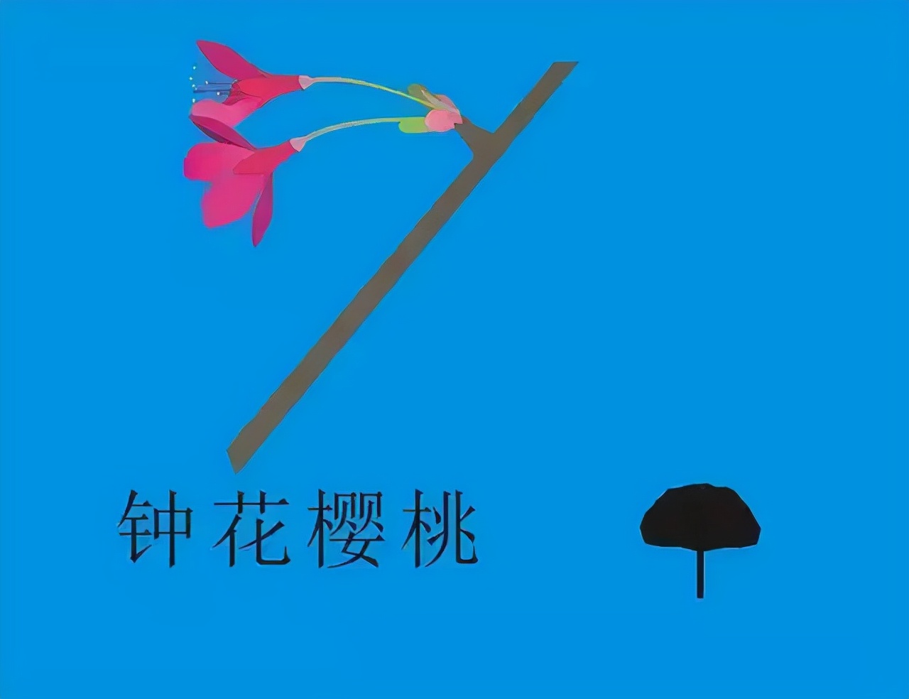 又到了樱梅桃李梨杏海棠……盛开的季节！脸盲吗？看这个