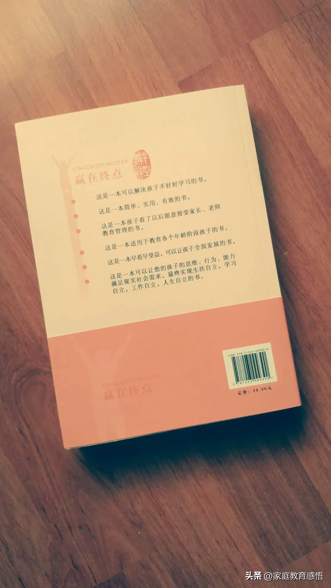 初中阶段的学习主要包括哪些(初中阶段的学习)
