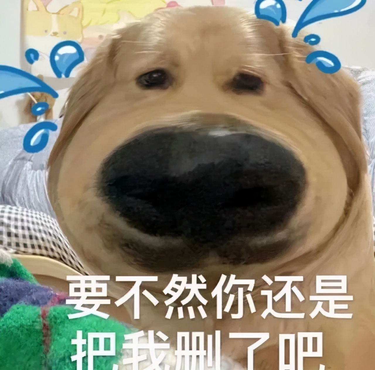 这几个互联网产品，用过的，可能都是互联网老人了吧
