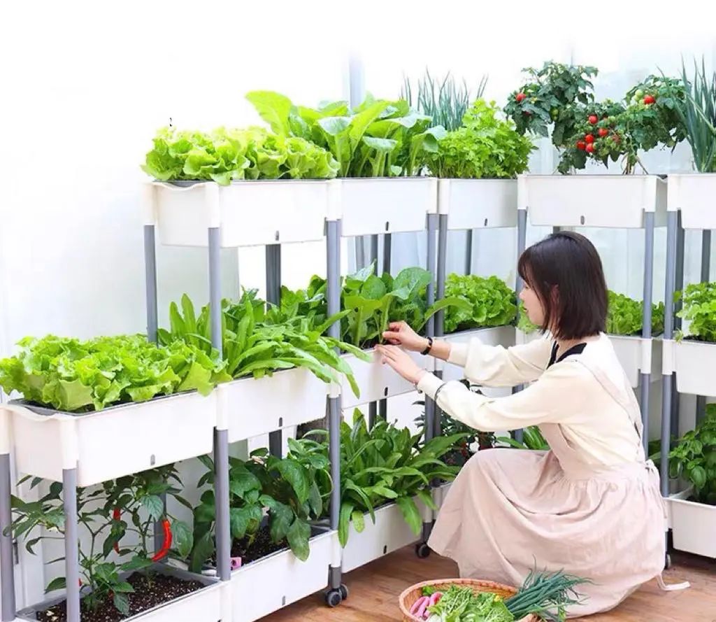 我在阳台疯狂种菜,有2000种神器,成行业top3