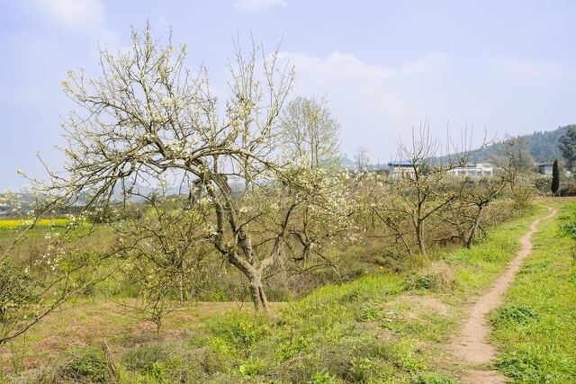 （诗歌）乡村小路