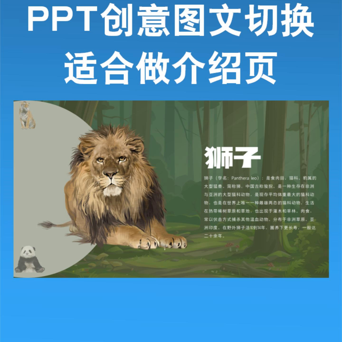 PPT创意图文切换非常适合用于介绍页