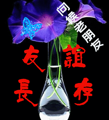 暖心问候早上好的表情包大全 天天开心、事事如意图片