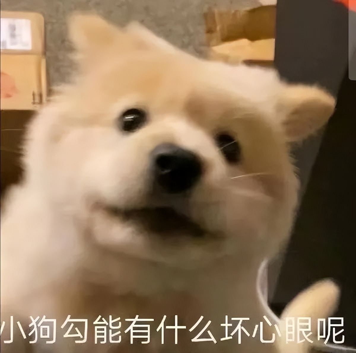 iPhone也能裝華為鴻蒙？分享一波騷操作