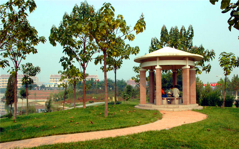 滨州学院2021年各专业录取分数线！仅供2022年考生参考