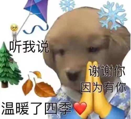 全家族对你很失望