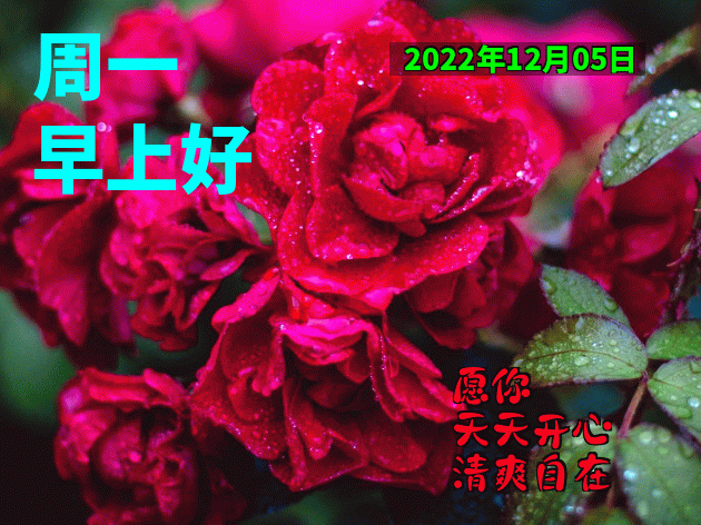 今日份漂亮早上好表情包图片 祝你开心愉快、幸福安康图片